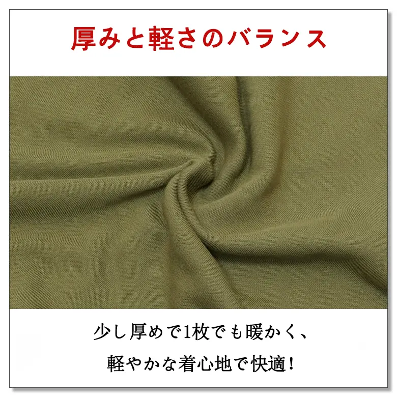 イーブイ家族ポケモンファン 必見